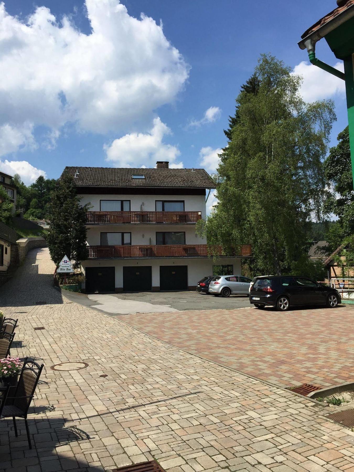 Landhotel Alte Aue Altenau  Exterior foto